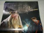 Дамблдор и Гарри - Календарь 2009